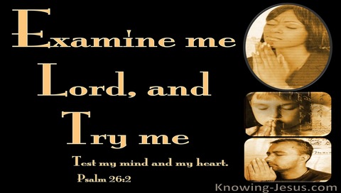 Psalm 26:2 Examine Me, Try Me, Test My Heart And Mind (orange)